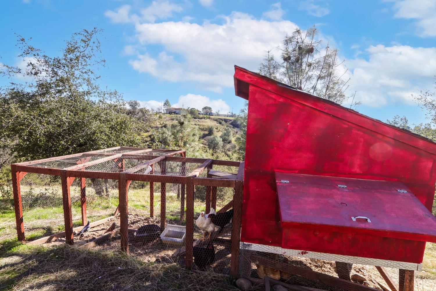 Valley Springs, California 95252, United States, 4 Bedrooms Bedrooms, ,3 BathroomsBathrooms,Residential,Active,14479