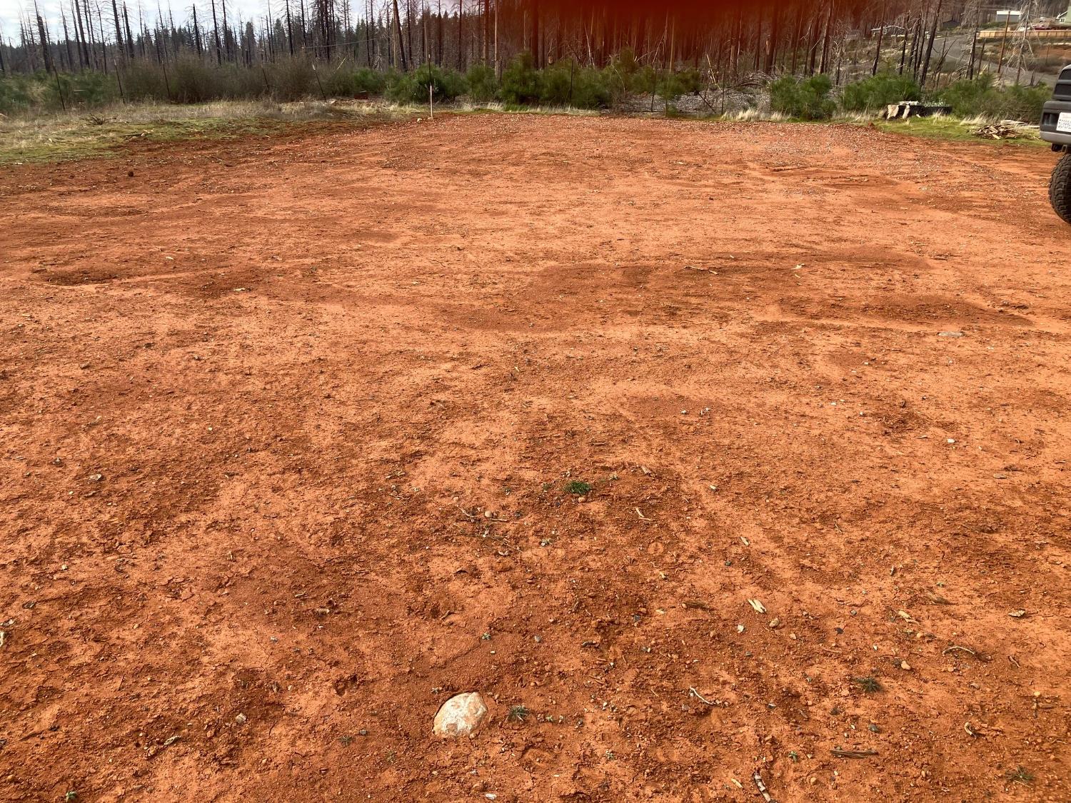 10196 Grizzly Flat Road