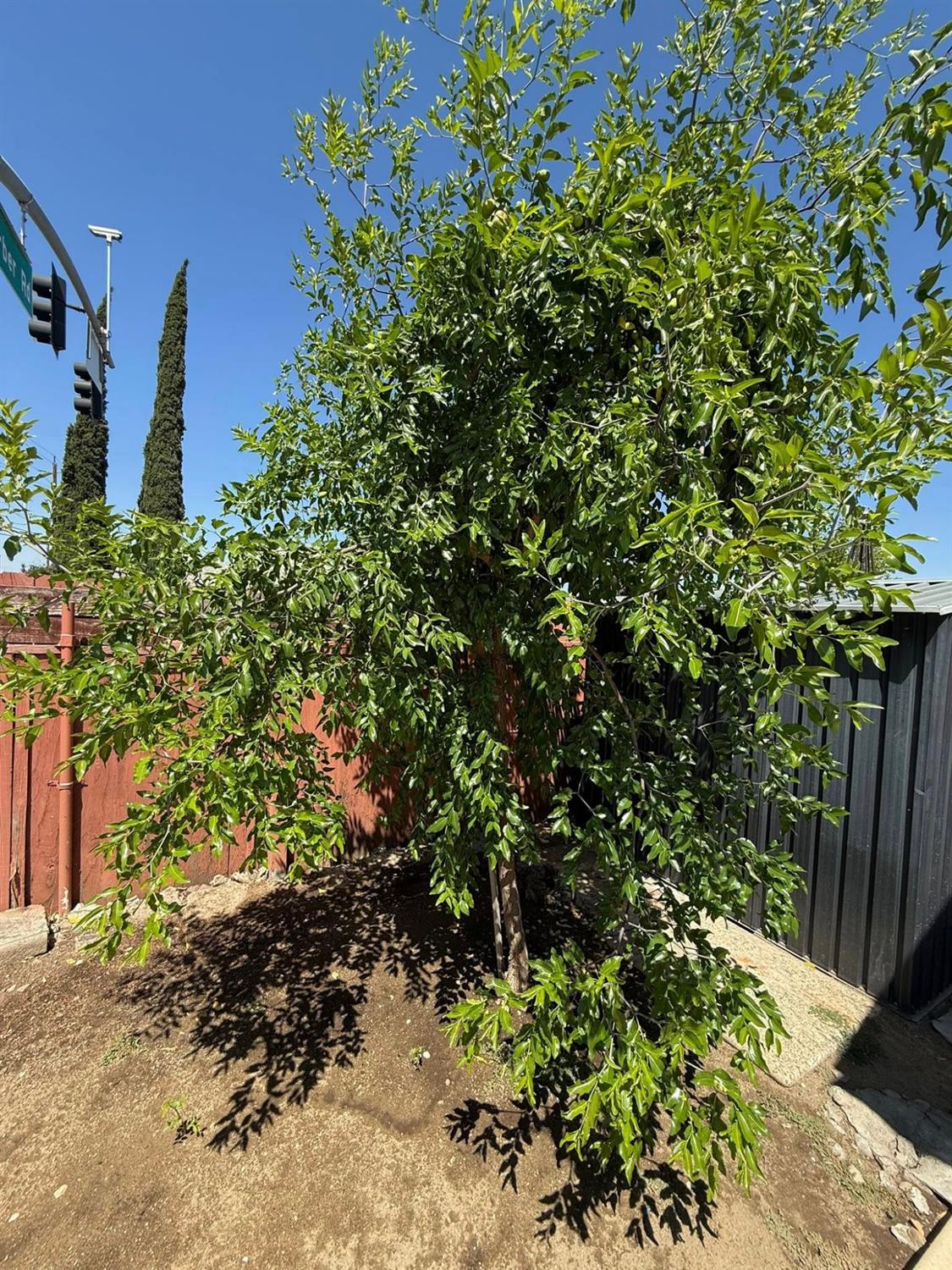 Sacramento, California 95828, United States, 3 Bedrooms Bedrooms, ,2 BathroomsBathrooms,Residential,Active,173141