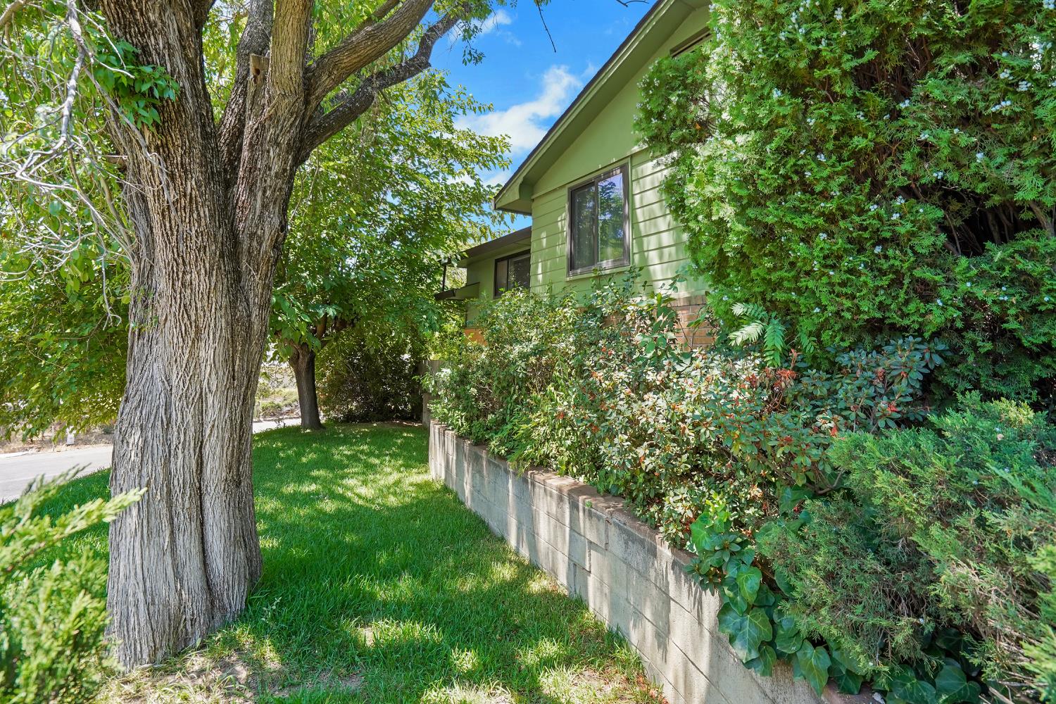 3901 Orangewood Drive