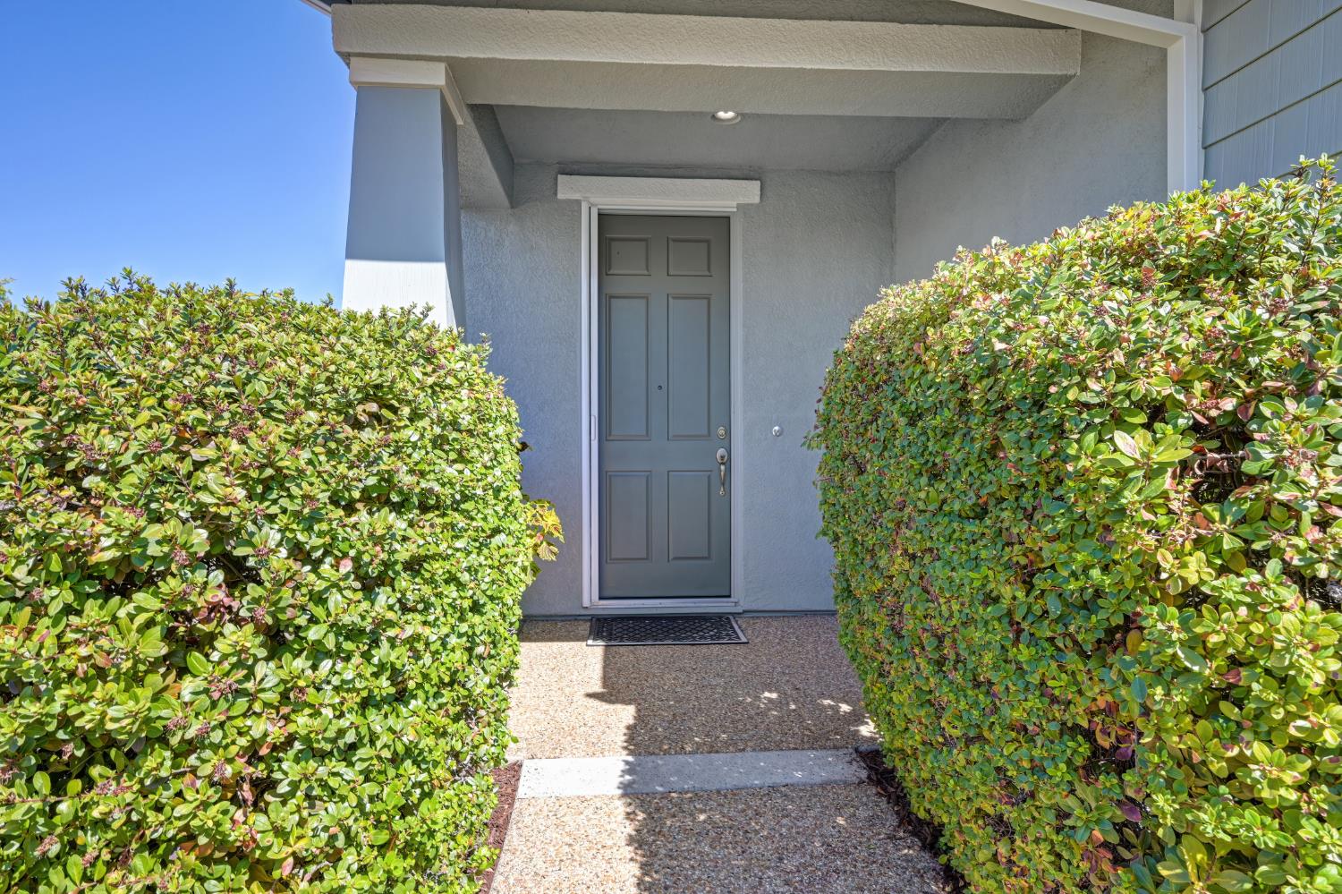 2286 Swainson Lane