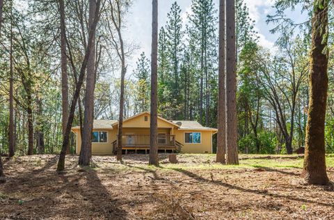 16116 Sycamore Lane Camptonville CA 95922