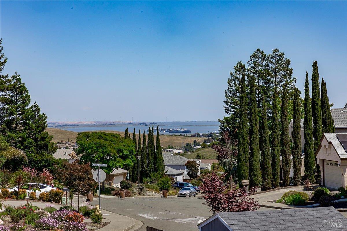 556 Rose Drive