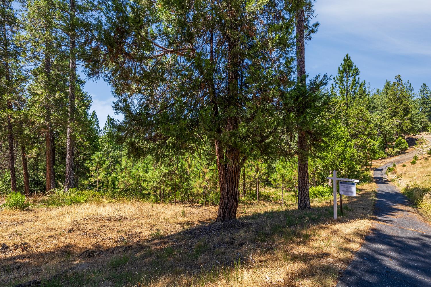 1712 The Point Road