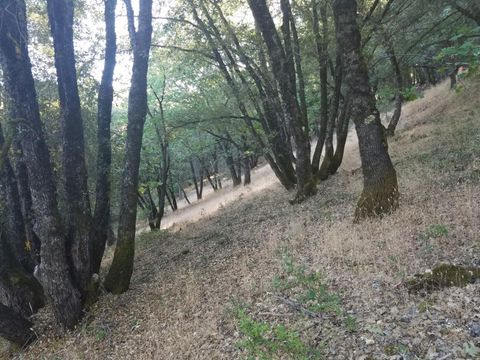 16424 Annie Drive Grass Valley CA 95949