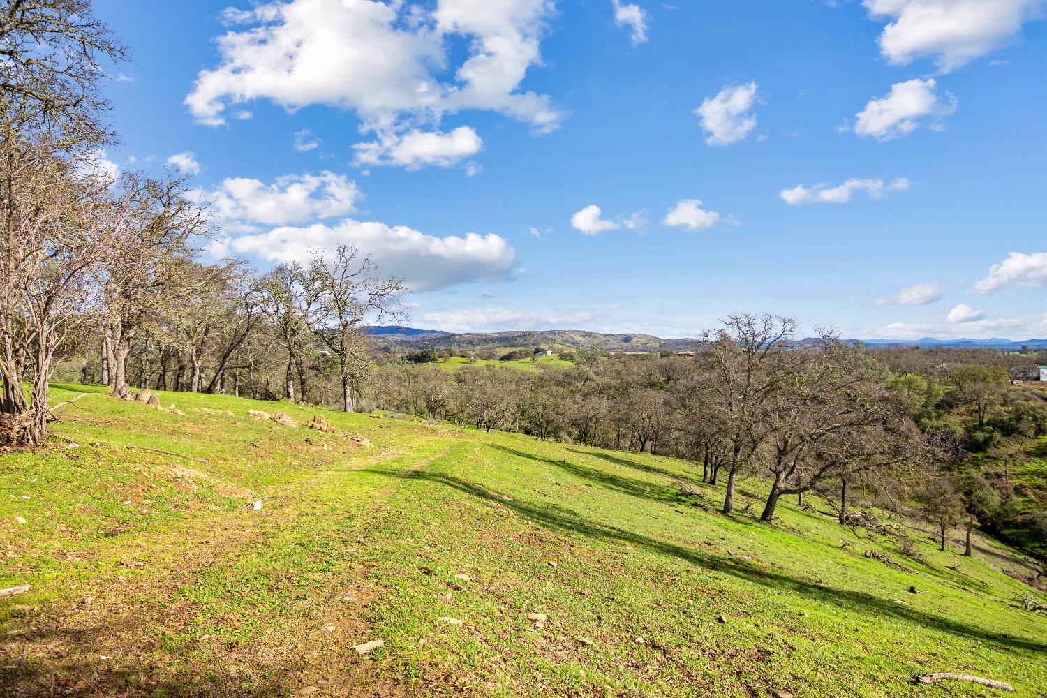 5636 Chuckwagon Drive