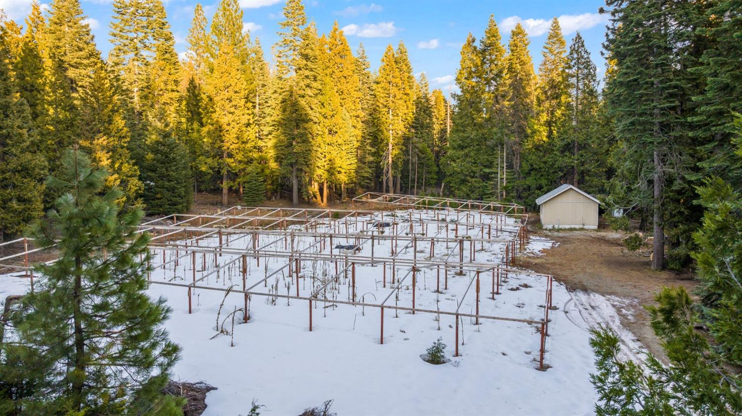 16277 Ophir Silver Road