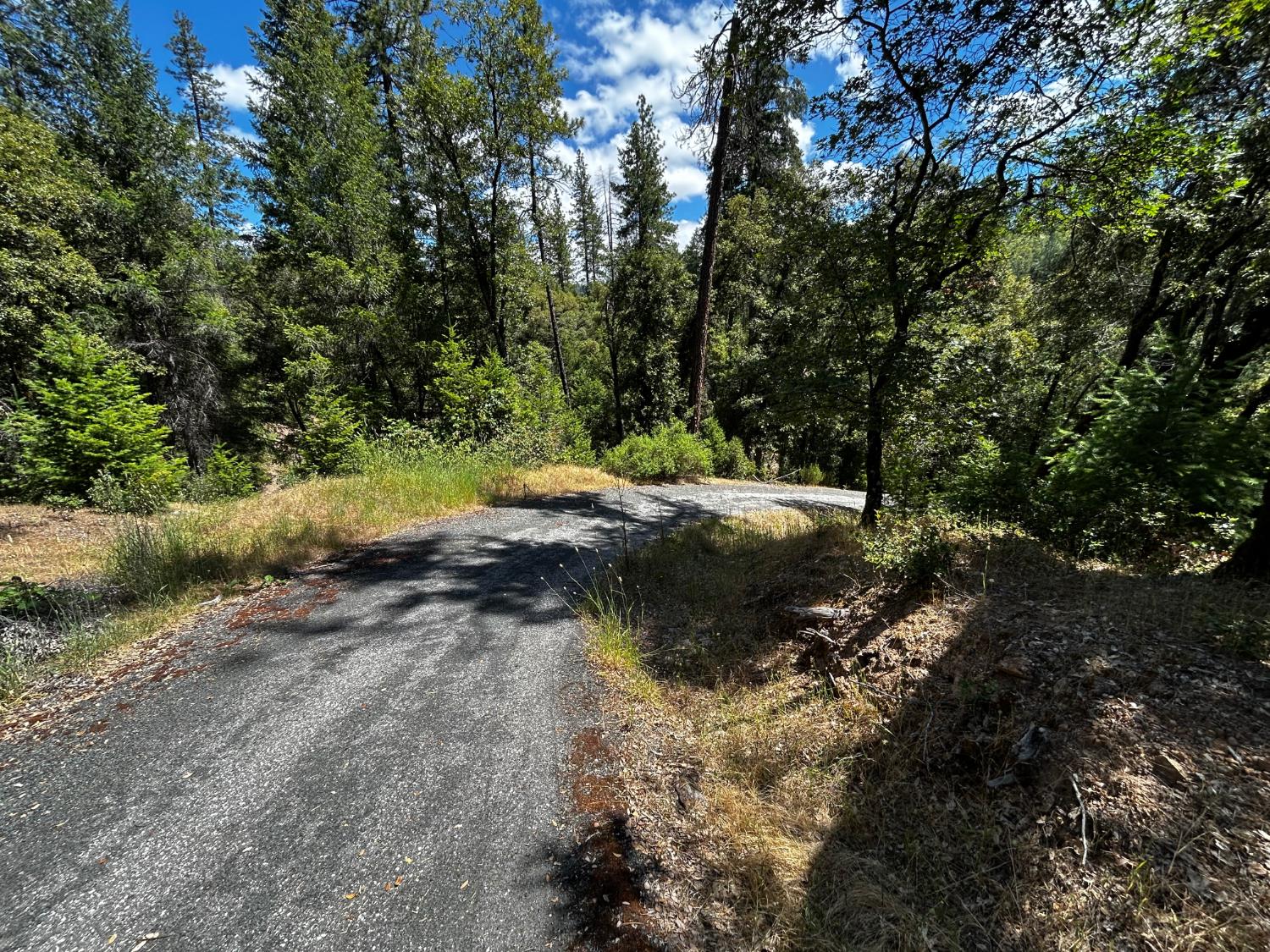 12226 Pine Cone Circle