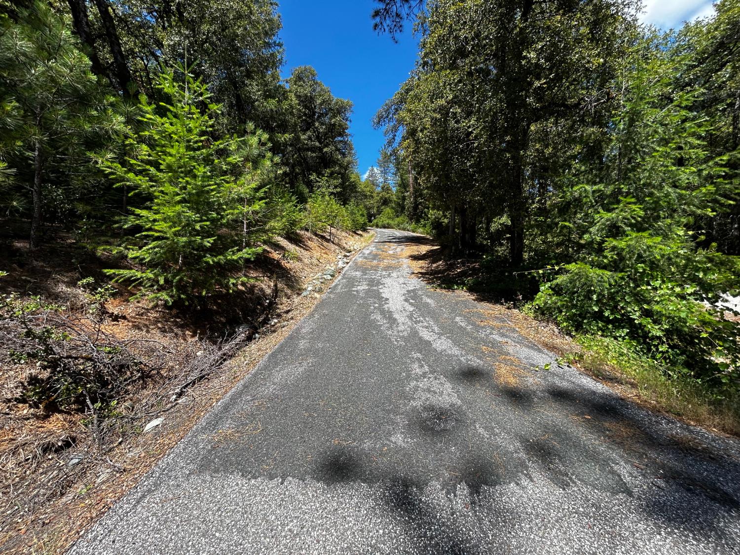 12226 Pine Cone Circle