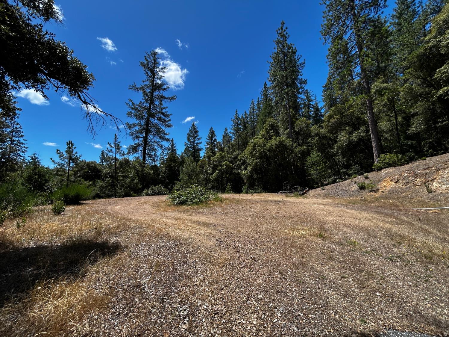 12226 Pine Cone Circle