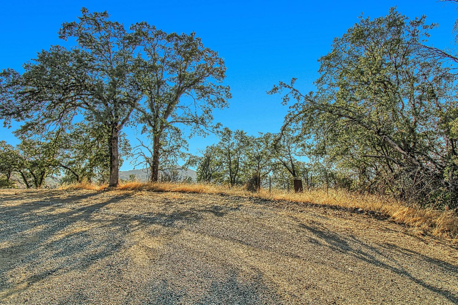 9955 Highway 49