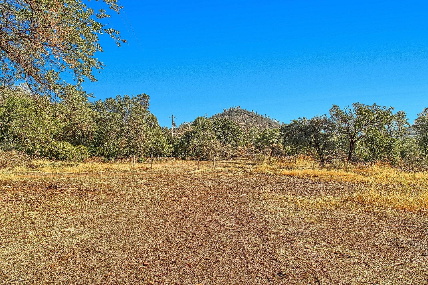 9955 Highway 49