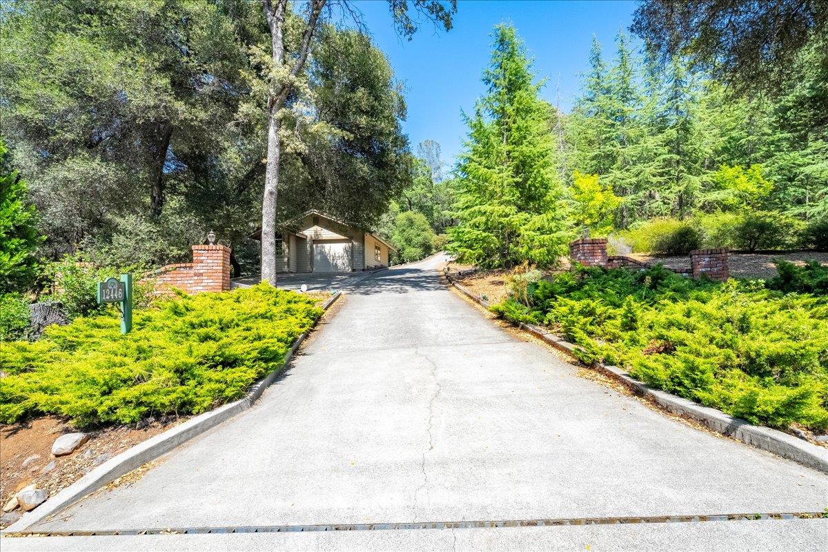 12446 Shadow Brook Court