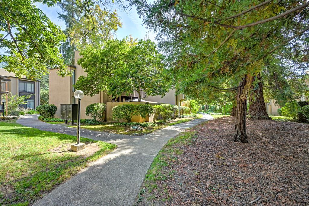 611 Woodside Sierra 3