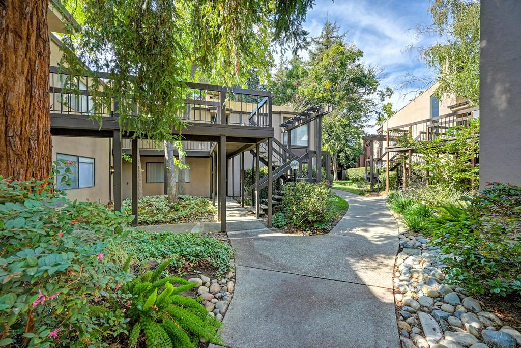 611 Woodside Sierra 3