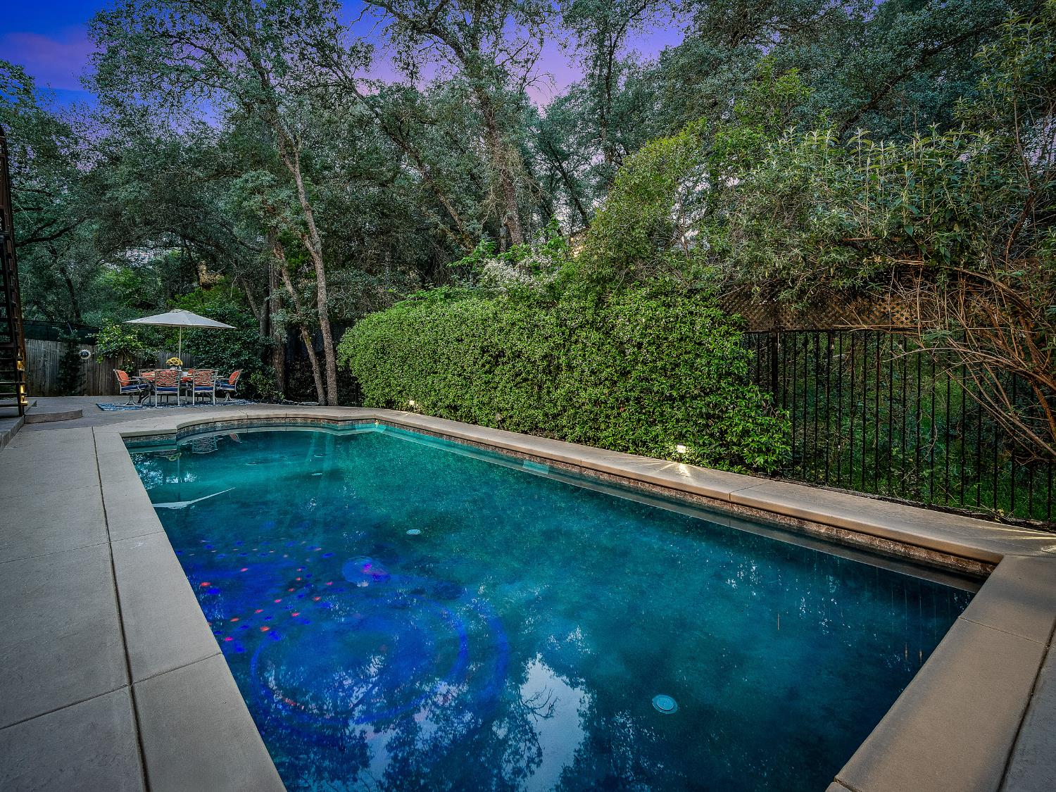 336 Bodega Court