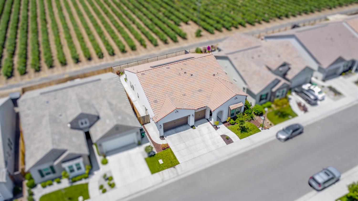 1545 Marigold Way