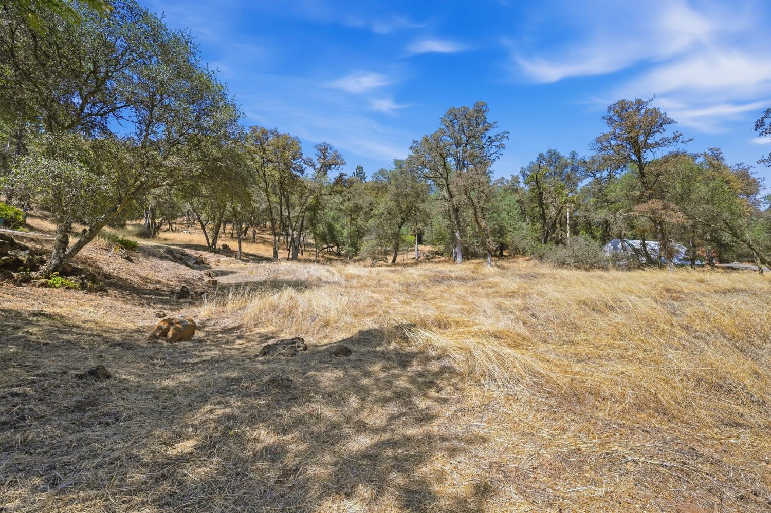 17428 Brewer Road