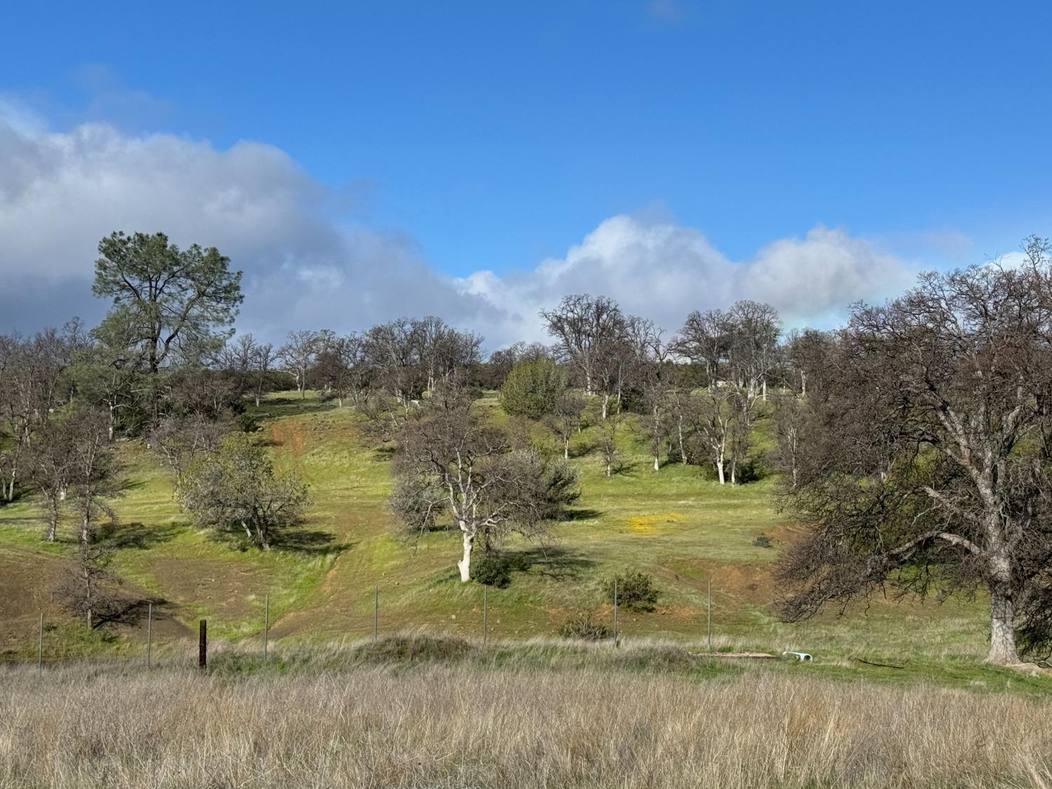 4289 Sites Lodoga Road