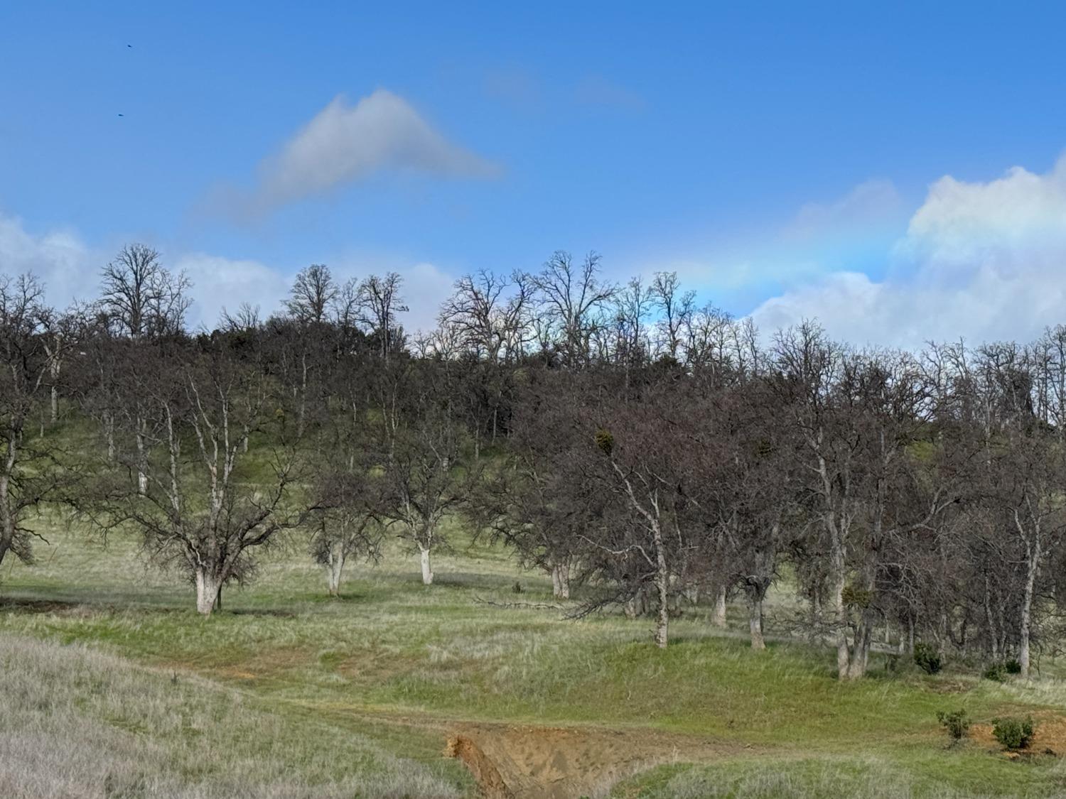 4289 Sites Lodoga Road