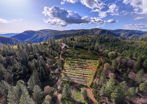 10571 SEBASTOPOL RD, NORTH SAN JUAN, CA 95960 - Image 65e166b7cb15e30d45a155f65e2f3cbd/2579781117
