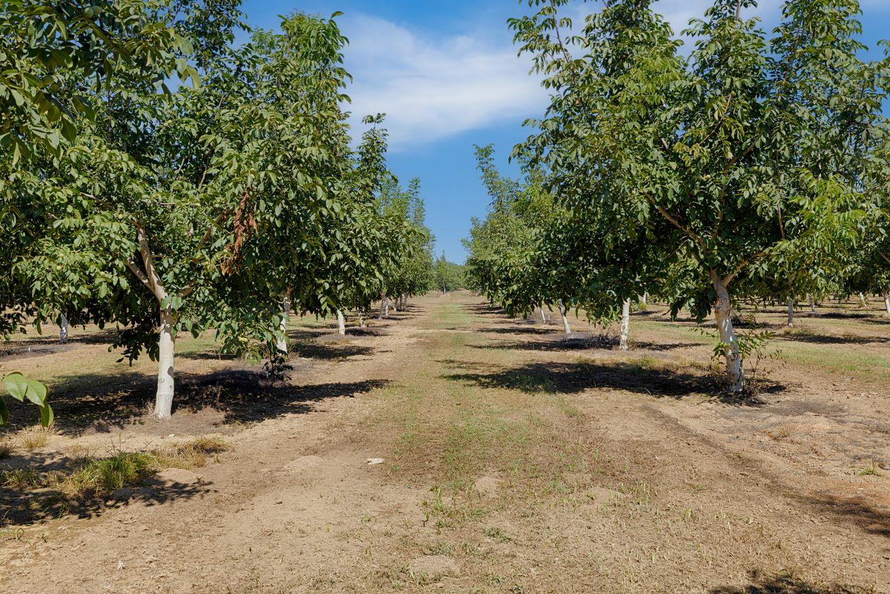 3302 Bear River Drive