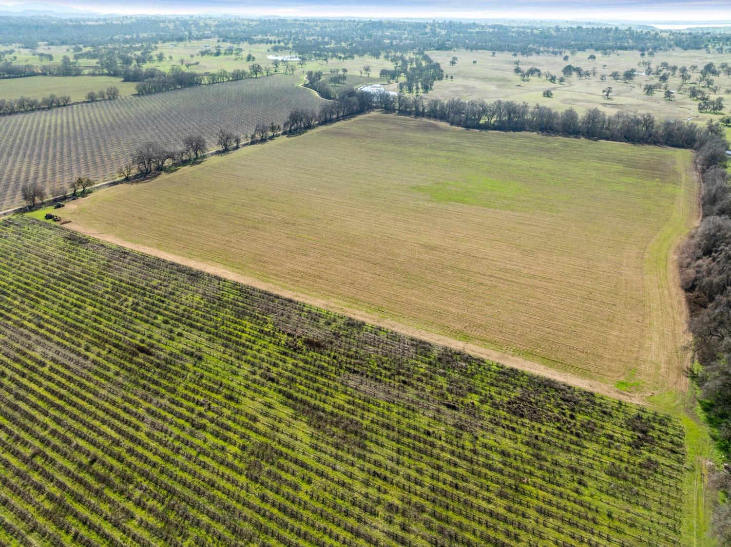 3900 Jackson Valley