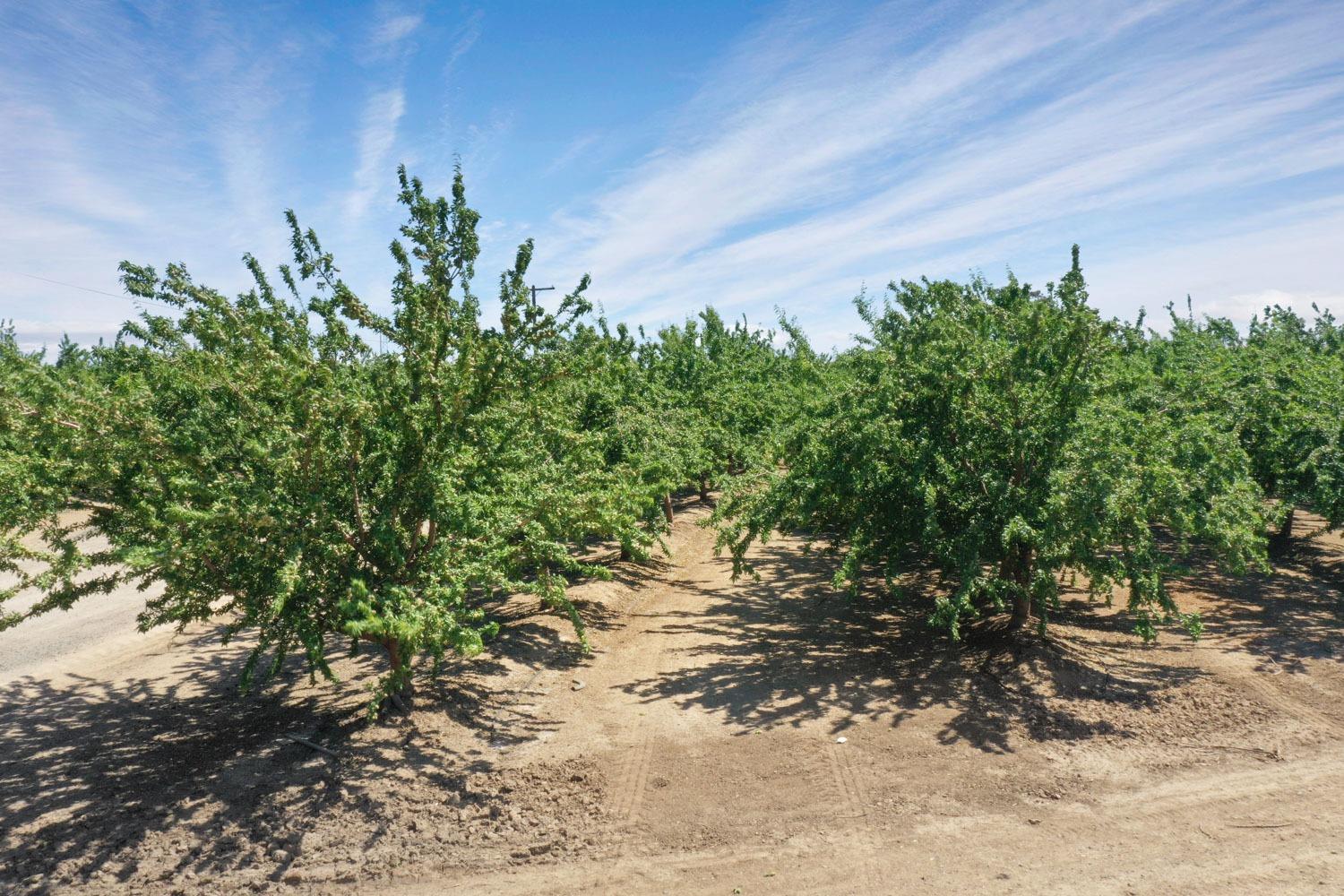 8300 W Eleventh Street