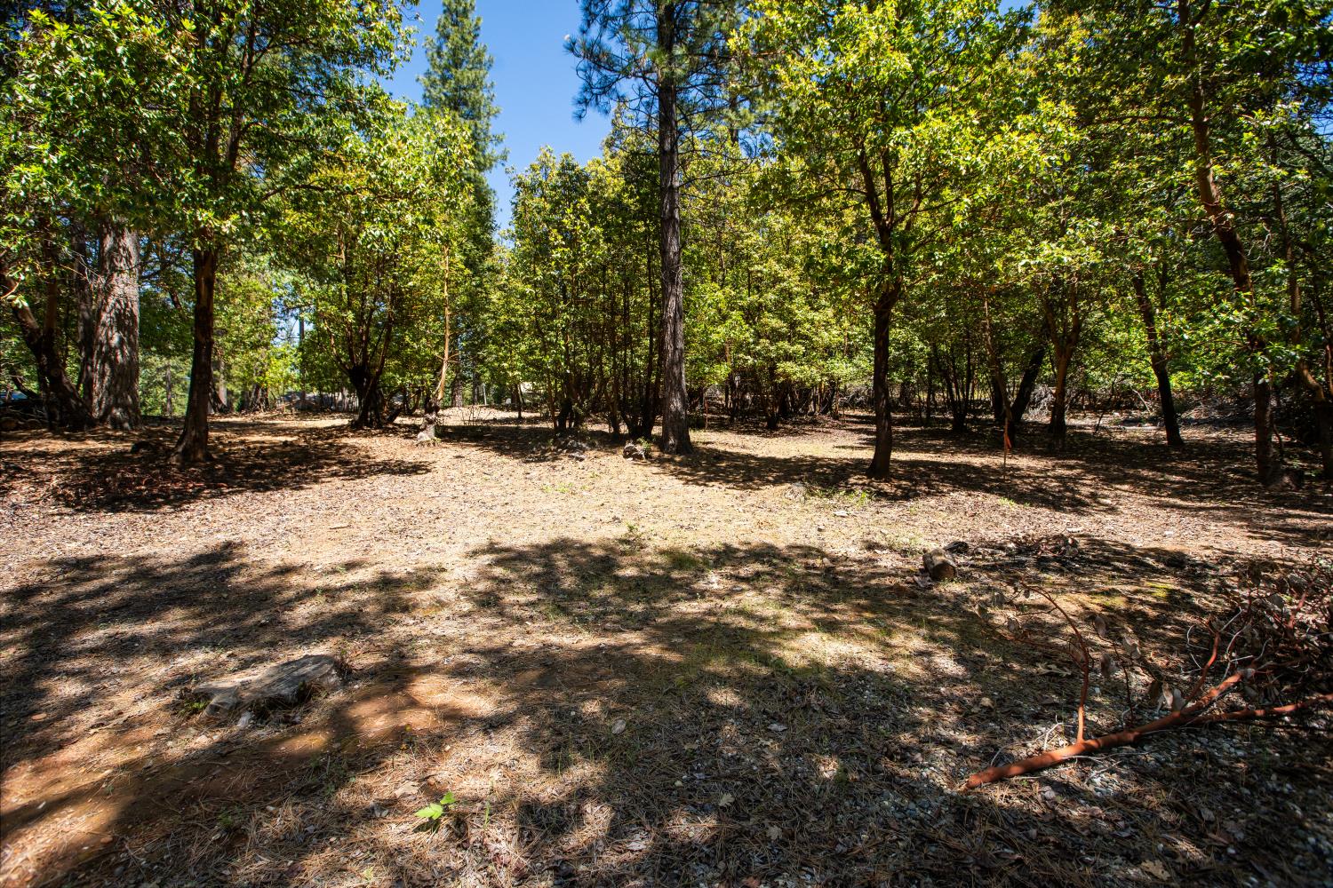 3196 Pine Cone Court