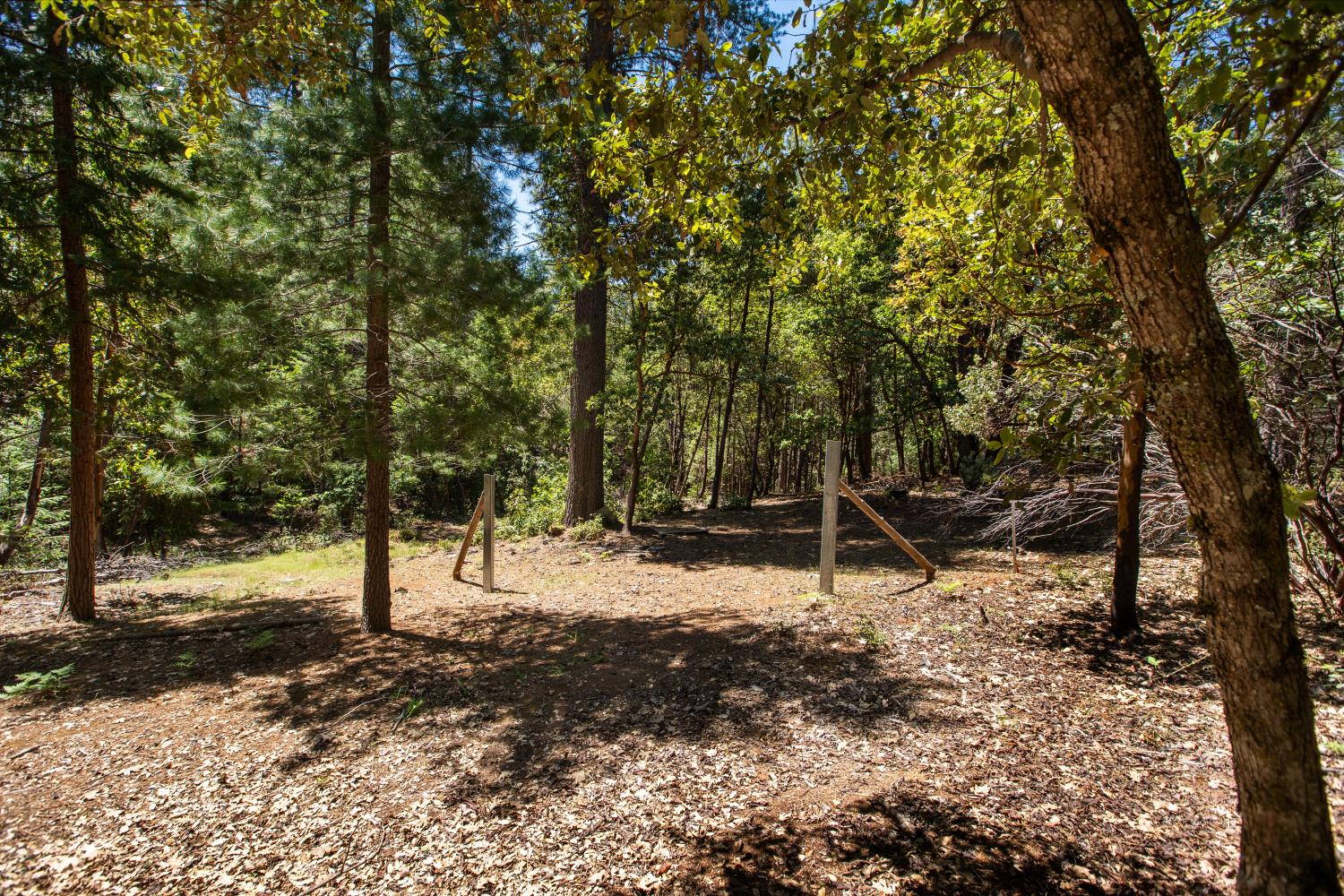 3196 Pine Cone Court