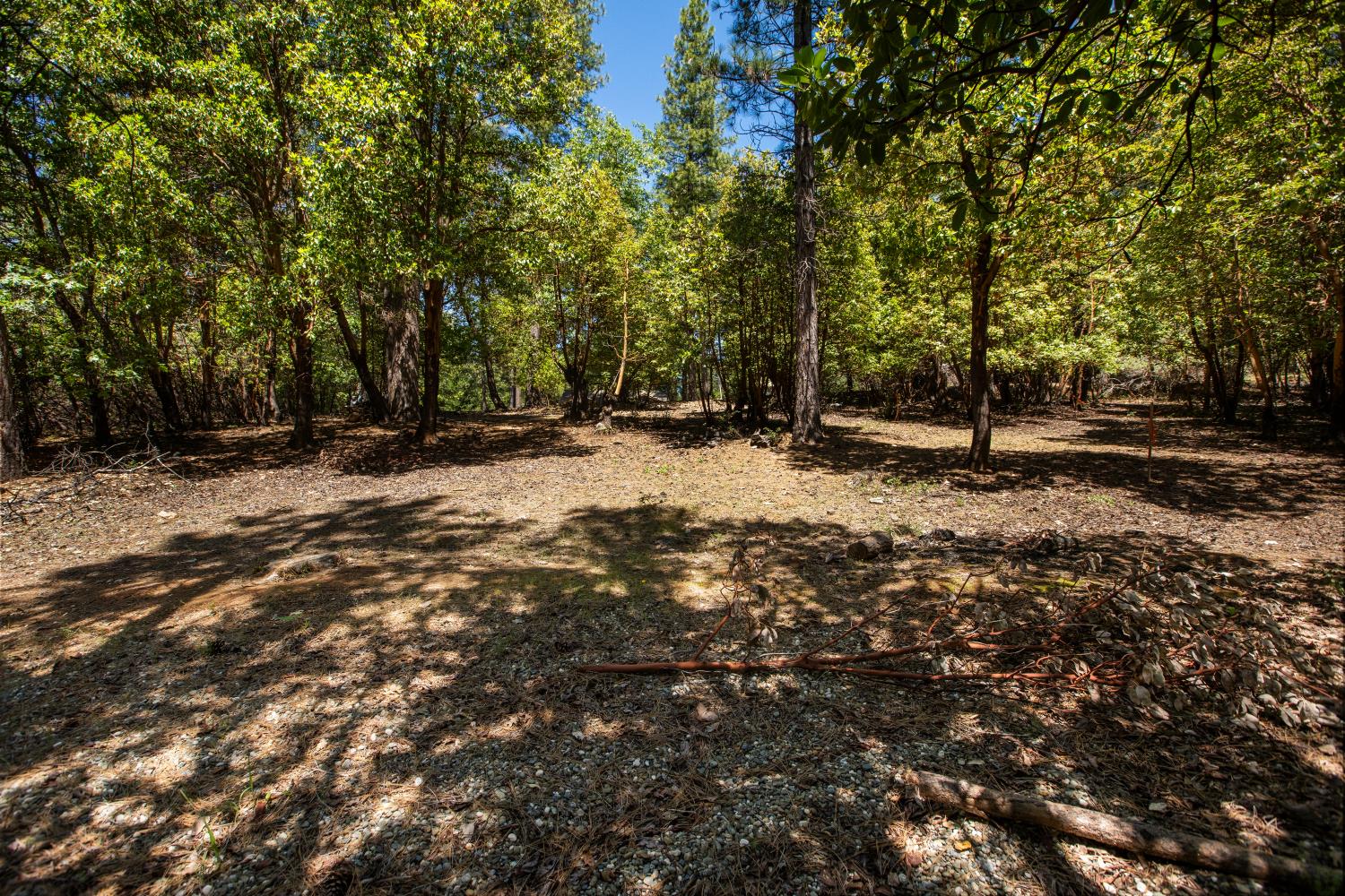 3196 Pine Cone Court