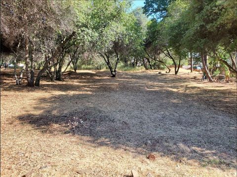 3394 La canada Drive Cameron Park CA 95682