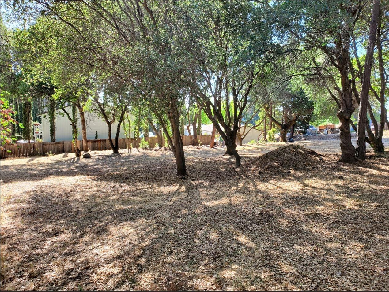 3394 La canada Drive