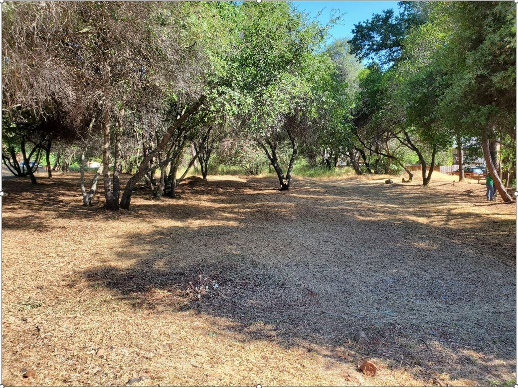 3394 La canada Drive