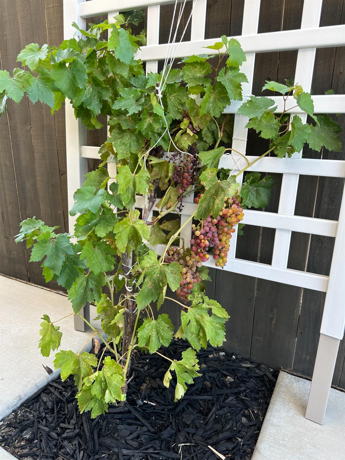 3281 Garden Terrace Drive