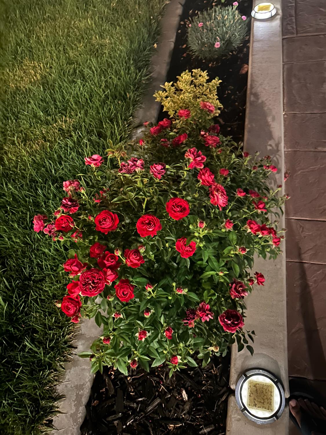 3281 Garden Terrace Drive