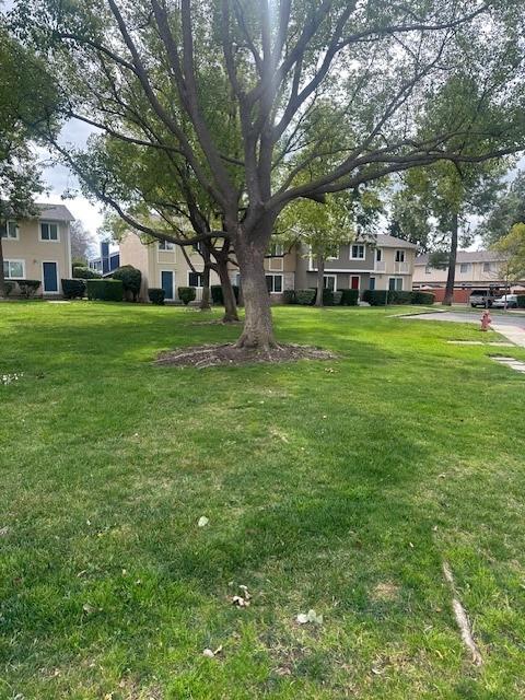 3667 Carrigan Common