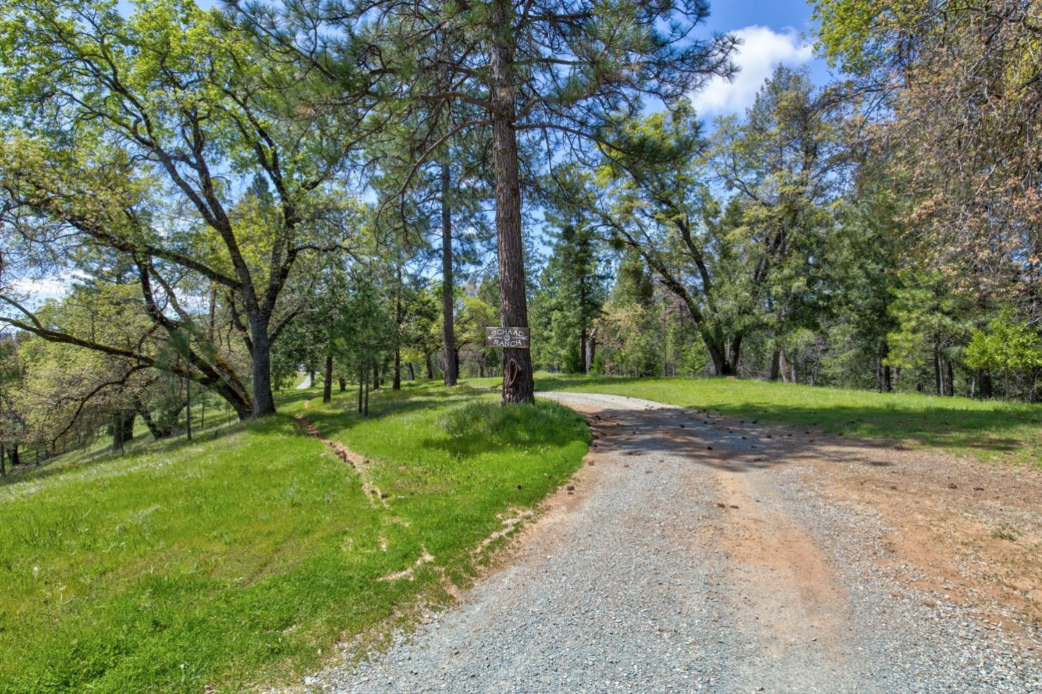 7401 Schaad Road