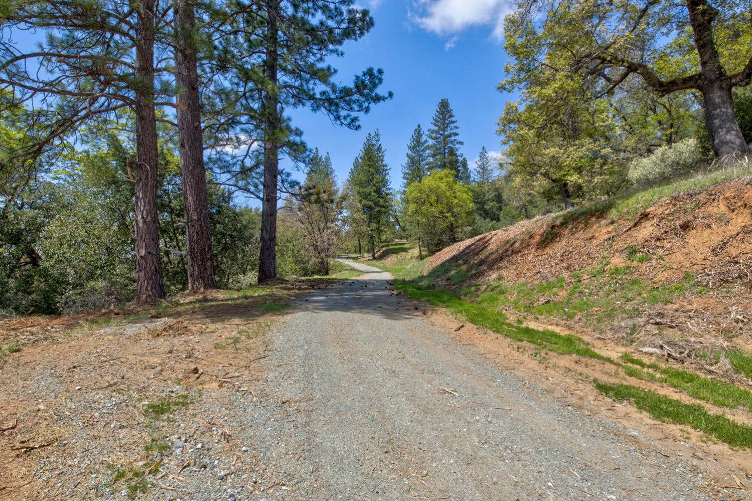 7401 Schaad Road