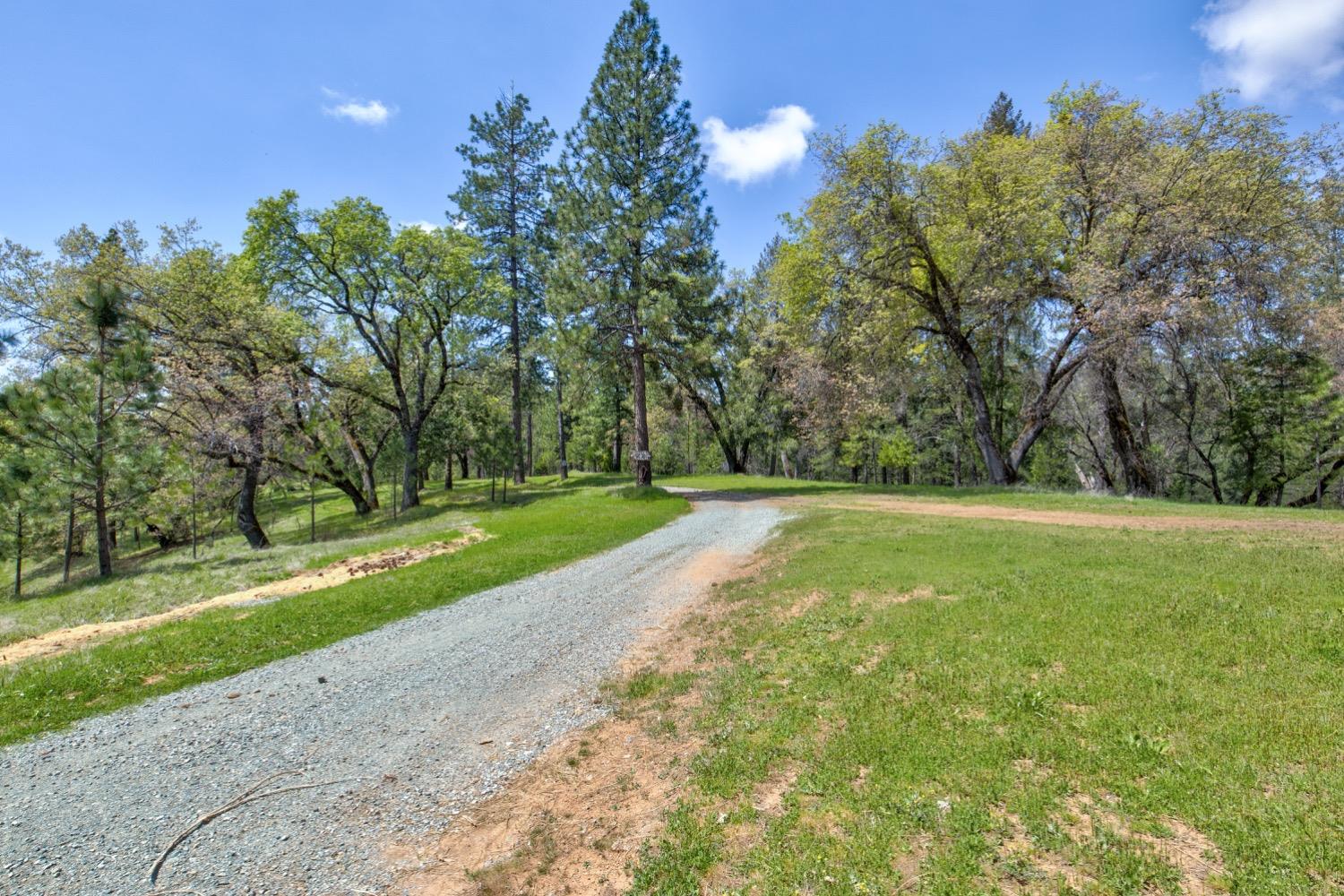 7401 Schaad Road