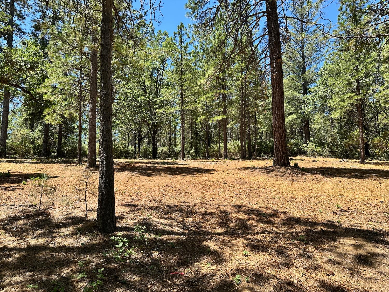 1810 E Summit View Drive