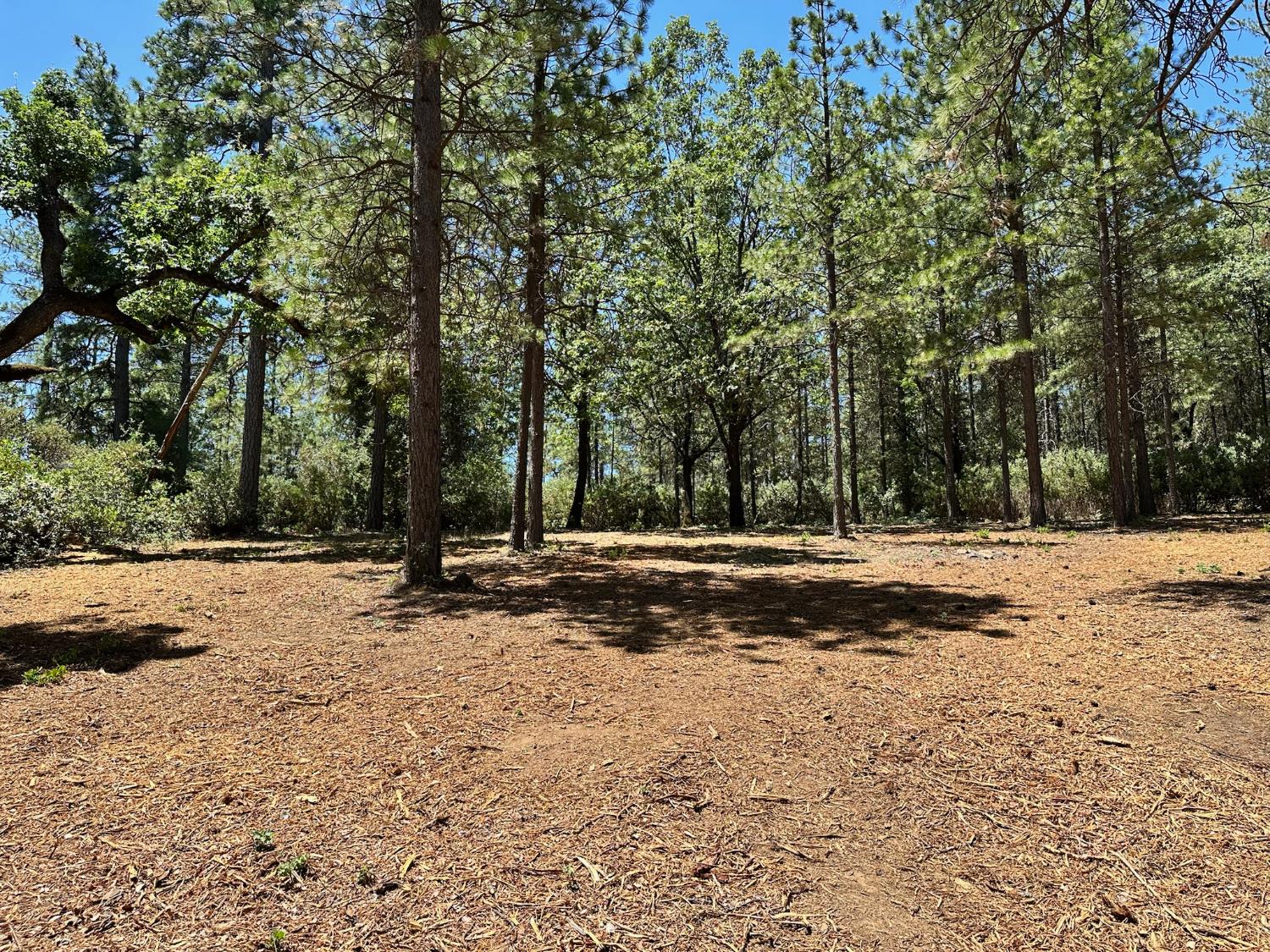 1810 E Summit View Drive