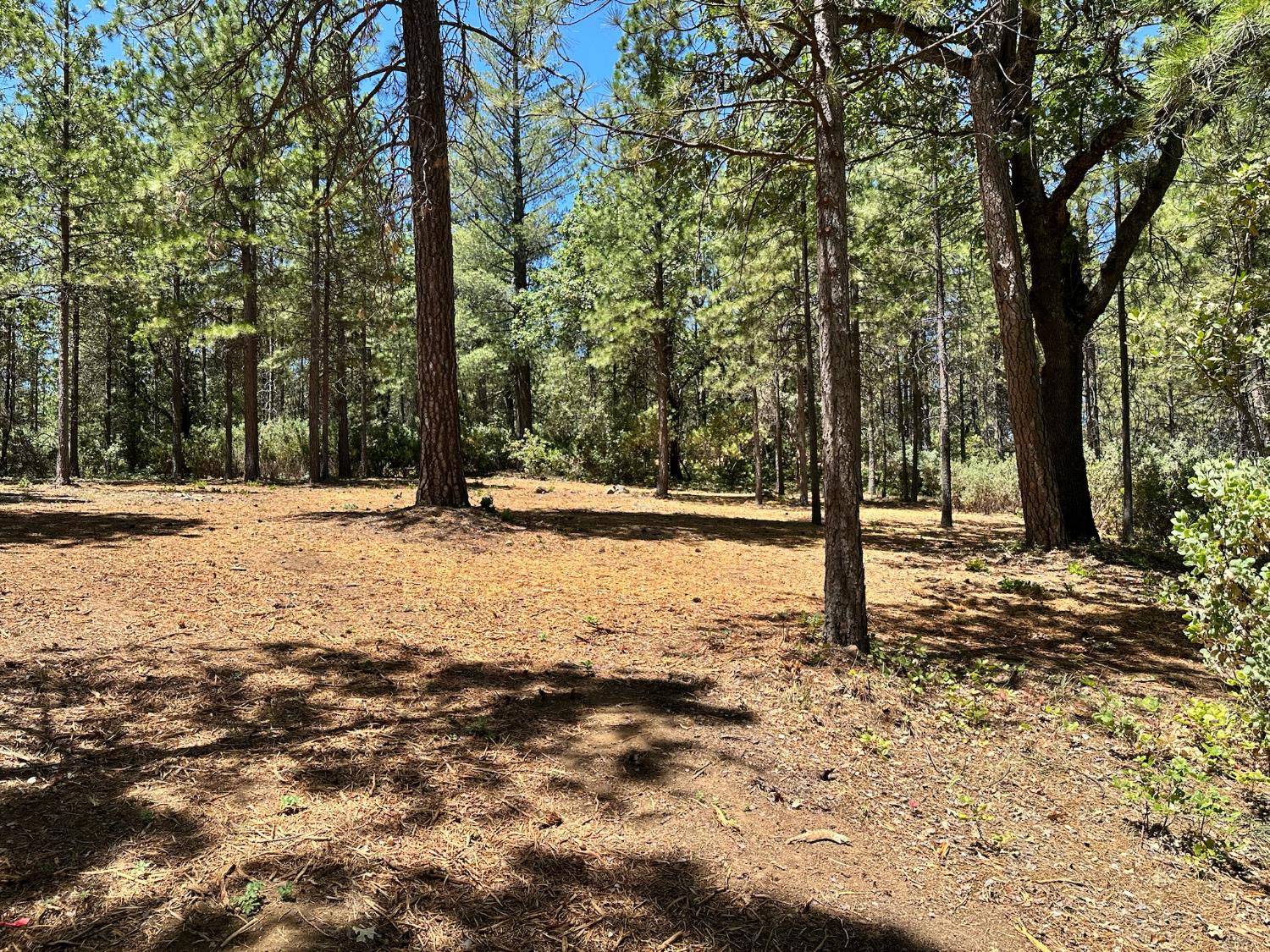 1810 E Summit View Drive