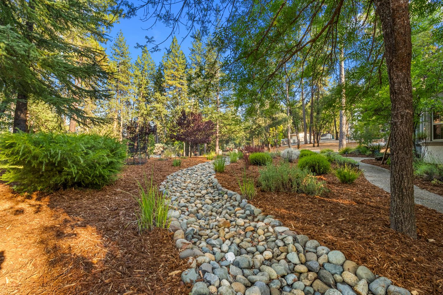 3430 Old Ditch Drive