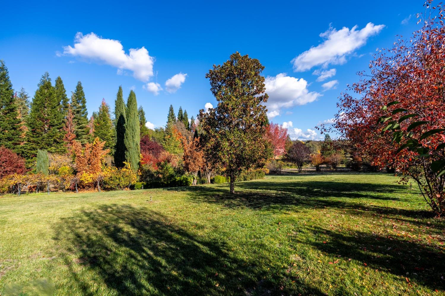 9430 Bridge Creek Lane