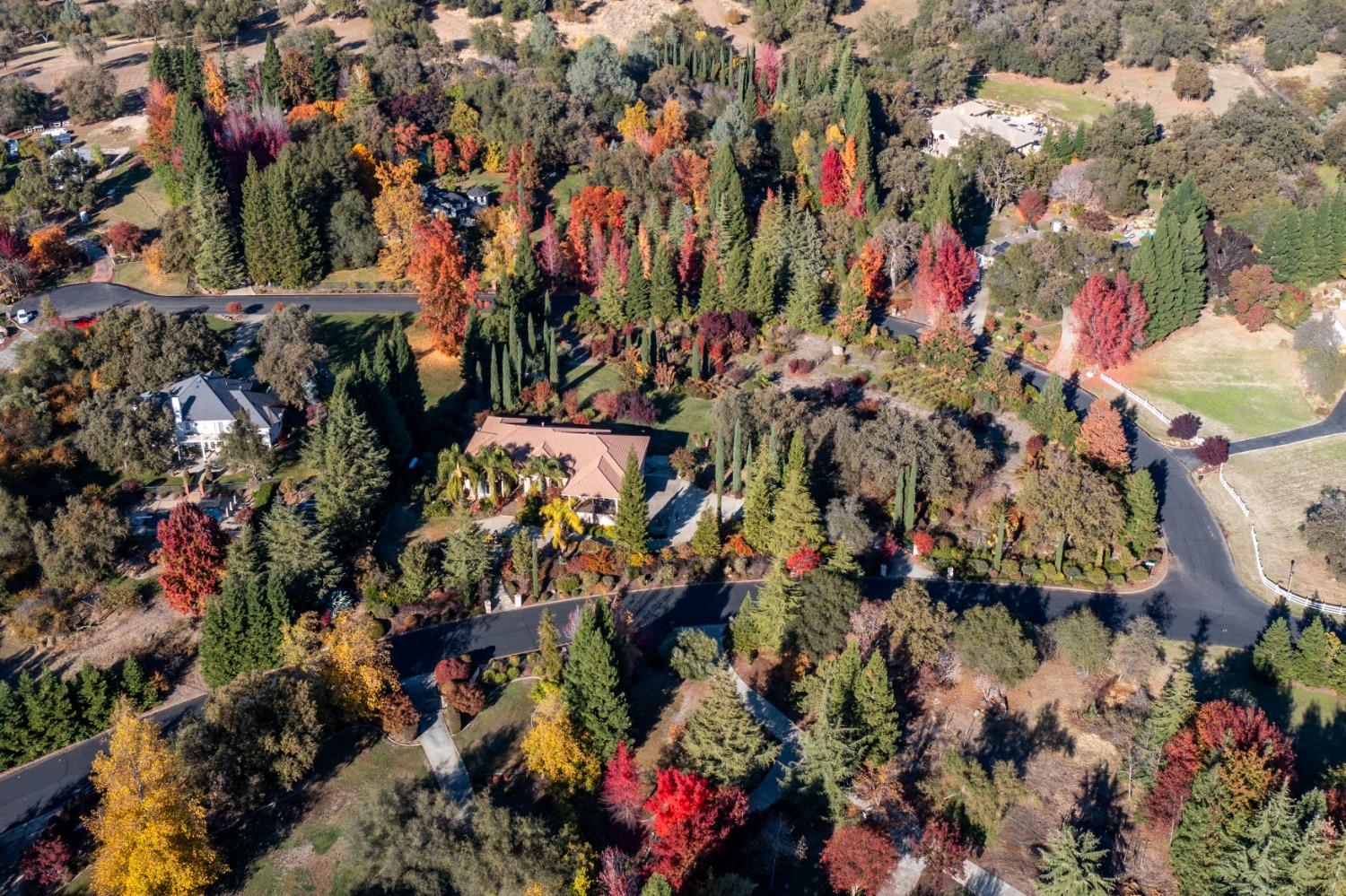 9430 Bridge Creek Lane