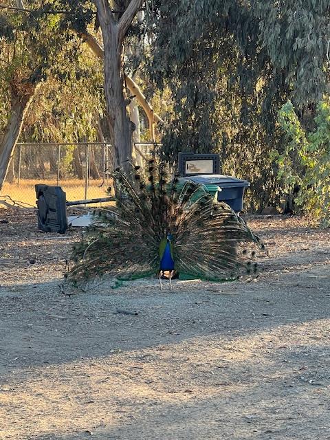 0 W 19920 West Grant Line Rd Road