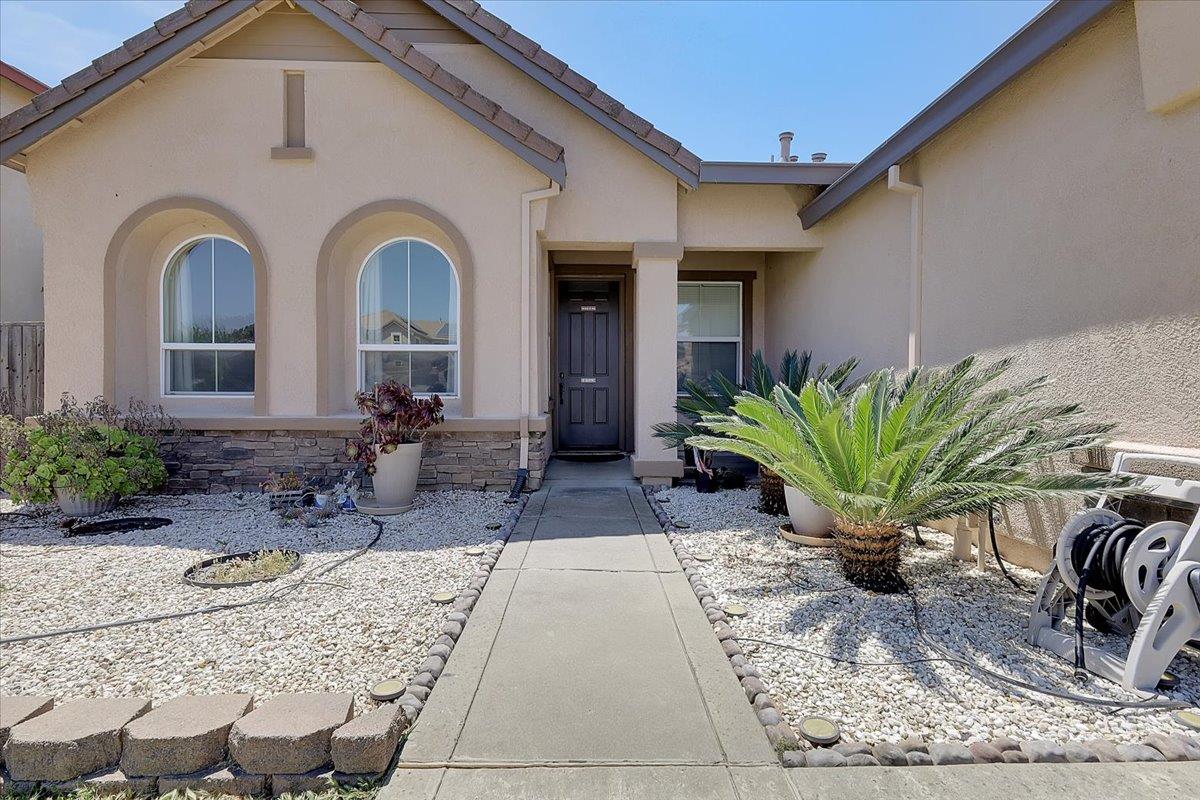 1254 Jewelflower Street