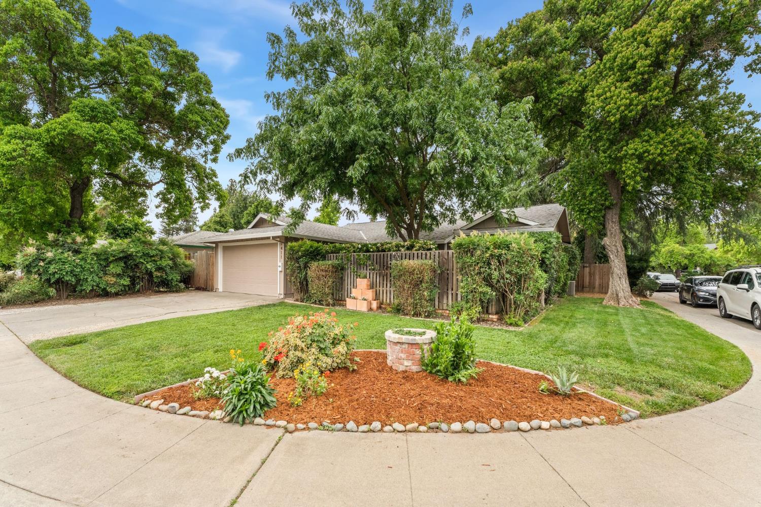1411 Camphor Lane