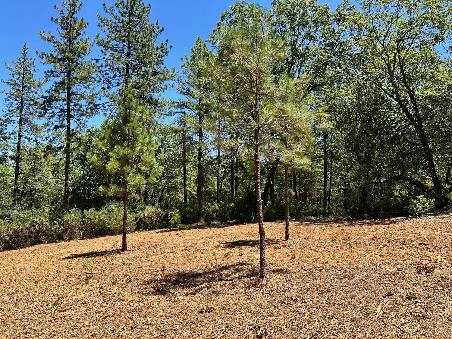 16689 Winchester Club Drive